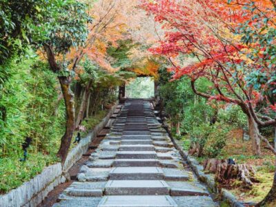 [2.3km / 1.43mi] Kyoto East Early Morning Walking Tour - Small group pace with local guide Akari