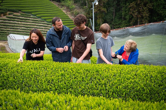7hr Private Wazuka True Hidden Kyoto Matcha Farm Experience - Key Points You’ll Care About