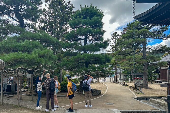 All-Inclusive Kyoto Day Tour: Amanohashidate, Miyama or Ohara - Key highlights worth getting excited about