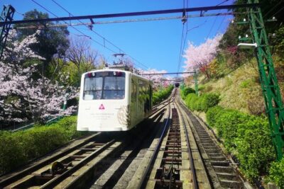 Amanohashidate & Miyama 1-Day Bus Tour: From Osaka/Kyoto w/ Lunch - Lunch on a Nature Day: What You Get and Why It Matters