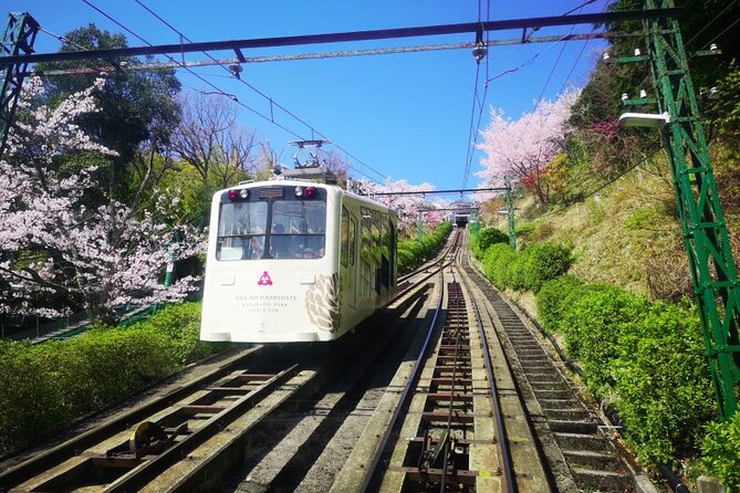 Amanohashidate & Miyama 1-Day Bus Tour: From Osaka/Kyoto w/ Lunch - Lunch on a Nature Day: What You Get and Why It Matters