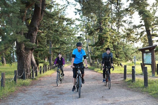 Amanohashidate Sand bar & culture e-bike tour - E-bike setup: easy riding that still feels like you’re in control
