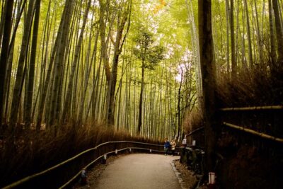 Arashiyama Bamboo Forest E-Biking Tour - Getting oriented: meeting point, timing, and how the day flows