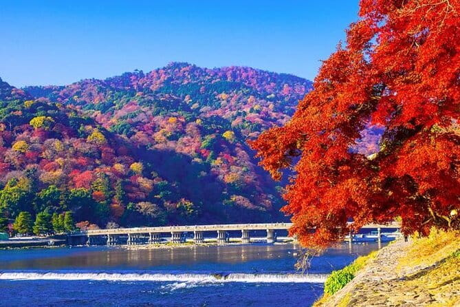 Arashiyama Bamboo & "Must See" Gardens with an Amazing Guide - Where Arashiyama Shines in 3 Hours