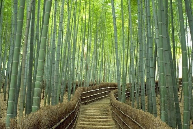 Arashiyama Bamboo & "Must See" Gardens with an Amazing Guide - Okochi Sanso Garden (and Green Tea) or Monkey Park Swap