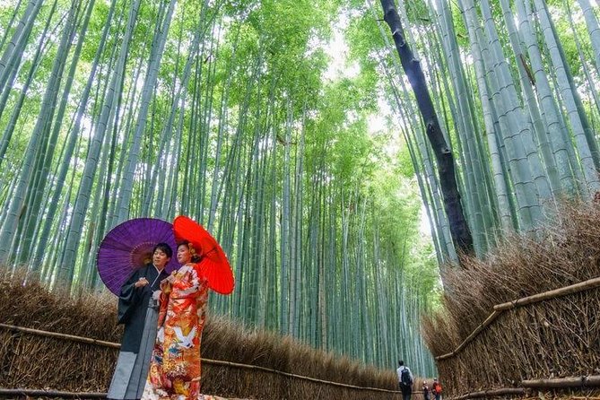 Arashiyama from Kyoto: Private & Personalized with a Local Guide - A bamboo grove morning—without treating it like a cattle line