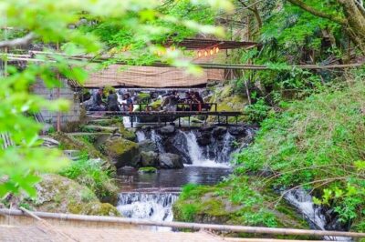 Arashiyama from Kyoto: Private & Personalized with a Local Guide - Your start point: meeting at Kyoto Station’s Mister Donut