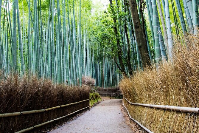 Arashiyama from Kyoto: Private & Personalized with a Local Guide - Tenryu-ji: UNESCO Zen temple time you can actually enjoy