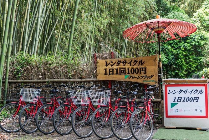 Arashiyama from Kyoto: Private & Personalized with a Local Guide - Daikaku-ji: the former imperial villa turned temple