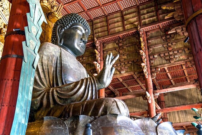 Arashiyama & Nara Highlights: One-Day Private Tour Adventure - A Fast Way to See Arashiyama and Nara Without Wasting Transit Time
