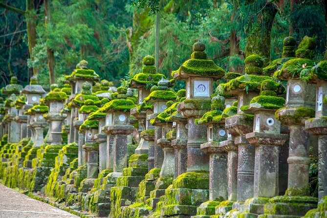 Arashiyama & Nara Highlights: One-Day Private Tour Adventure - The Nara Shift: Deer Park, Todaiji, and Kasuga Shrine in One Flow