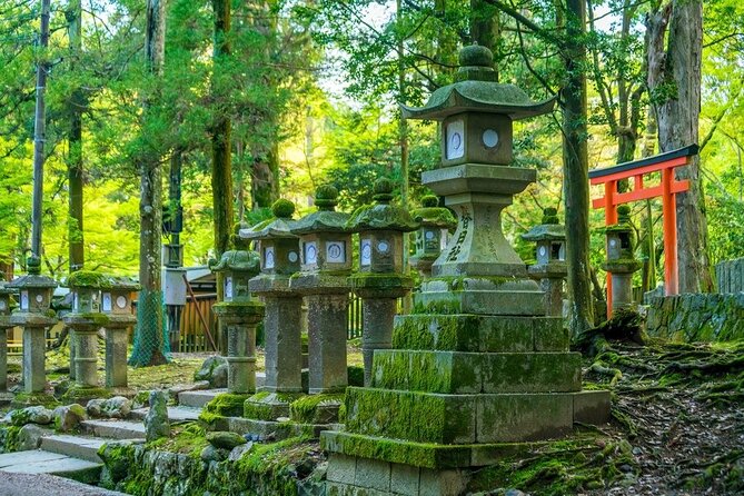Arashiyama & Nara Highlights: One-Day Private Tour Adventure - Price and Logistics: What the $490 Covers and What You Pay On Top