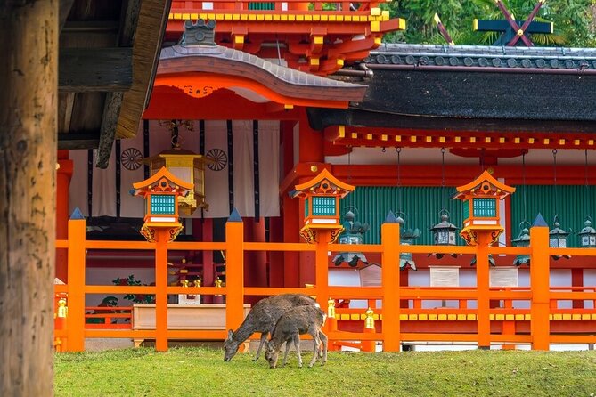 Arashiyama & Nara Highlights: One-Day Private Tour Adventure - Private Guide Matters More Than You Think