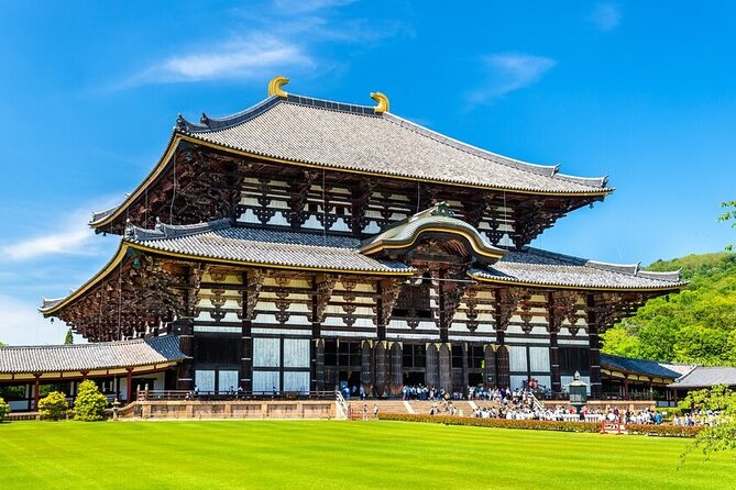 Arashiyama & Nara Highlights: One-Day Private Tour Adventure - What to Watch Out For: Entry Fees, Cash, and a Weather Check