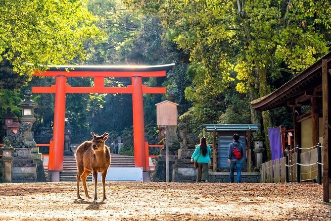 Arashiyama & Nara Highlights: One-Day Private Tour Adventure - Hozu-gawa River and Togetsu Bridge: Where the Scenery Gets Real