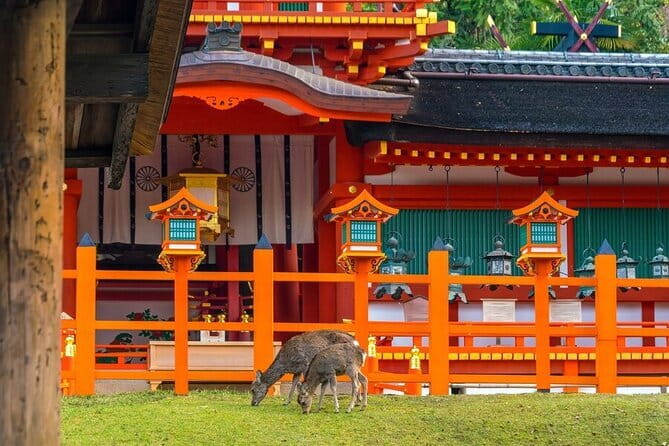 Authentic Kyoto Gion Geisha/Maiko Cultural Experience - Price and value: is $155.22 per person fair for what you get?