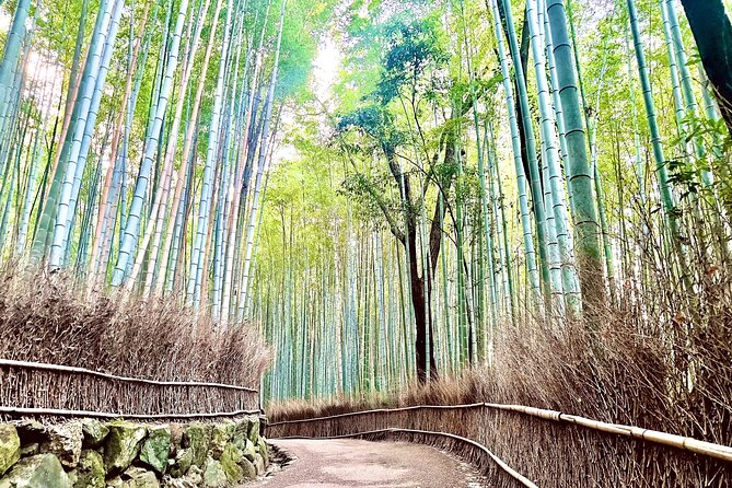 Bamboo Grove Temple and Garden Views Tour - Key Things I’d Focus On Before Booking