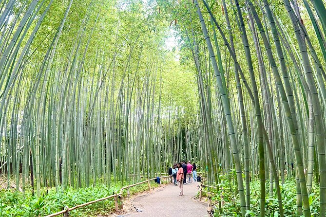 Bamboo Grove Temple and Garden Views Tour - Why This 5-Hour Arashiyama Nature Route Feels Like Good Kyoto