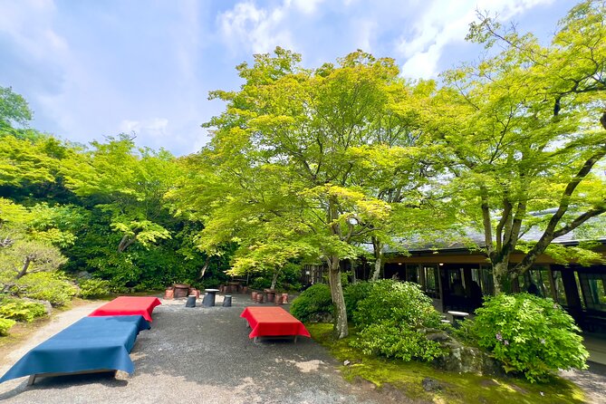 Bamboo Grove Temple and Garden Views Tour - Togetsukyo Bridge: Classic Views Without the Long Detour