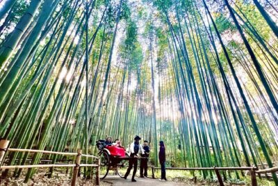 Bamboo Grove Temple and Garden Views Tour - Meeting Point and End Point: The Route That Helps You Not Waste the Day