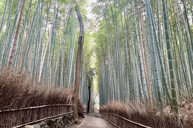 Bamboo Grove Temple and Garden Views Tour - Iwatayama Monkey Park: The Main Workout and the Main Wow