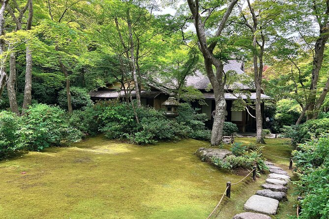 Bamboo Grove Temple and Garden Views Tour - Arashiyama Bamboo Forest: Tall Stalks, Soft Light, and Photo Pressure