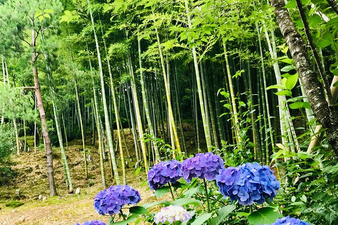 Bamboo LED Lantern Making Experience in Kyoto Arashiyama - The One Mold Issue: Fresh Bamboo Needs Care