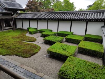 Craig's Kyoto Private Luxury Alphard Tour / The Early Riser - Bamboo Groves: Quiet Steps Instead of Stop-and-Go Crowds