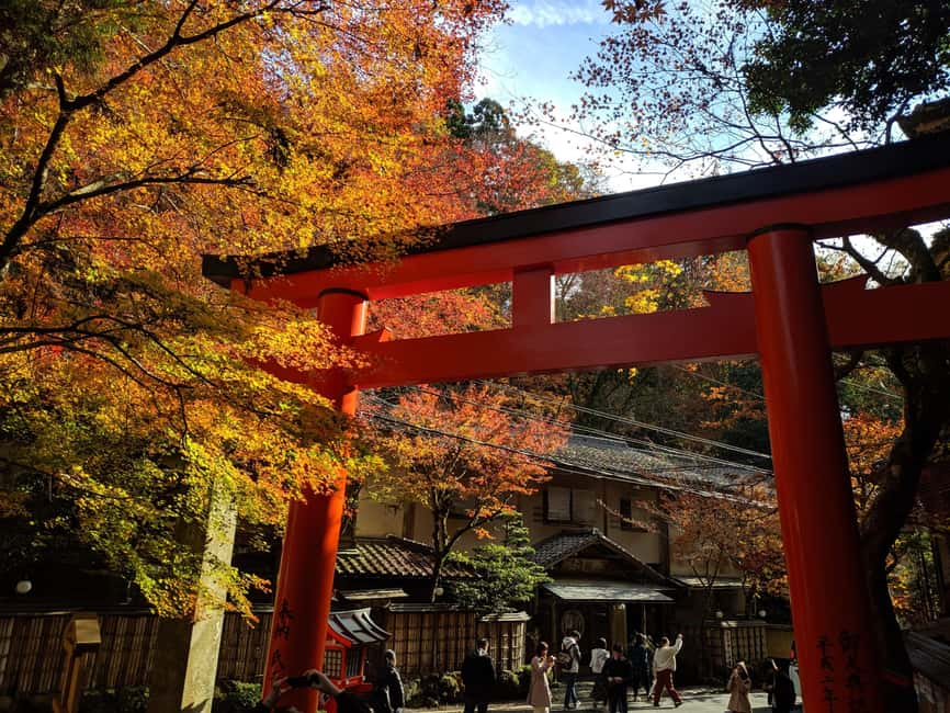 Craig's Kyoto Private Luxury Alphard Tour / The Early Riser - What Your 6-Hour Morning Feels Like in Real Life