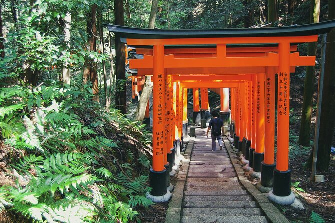 Crowd-Free Kyoto: Fushimi Inari, Nijo Castle & Kinkaku-ji - Price and value: what $91.96 buys you