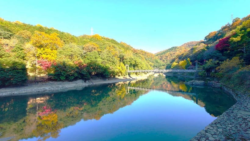 Cycling Tour at Uji's Matcha Green Tea Fields and Heritage - Key things I’d pay attention to