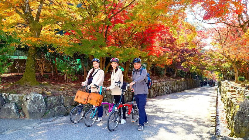 Cycling Tour at Uji's Matcha Green Tea Fields and Heritage - Getting comfortable on a Brompton before the first tea stop