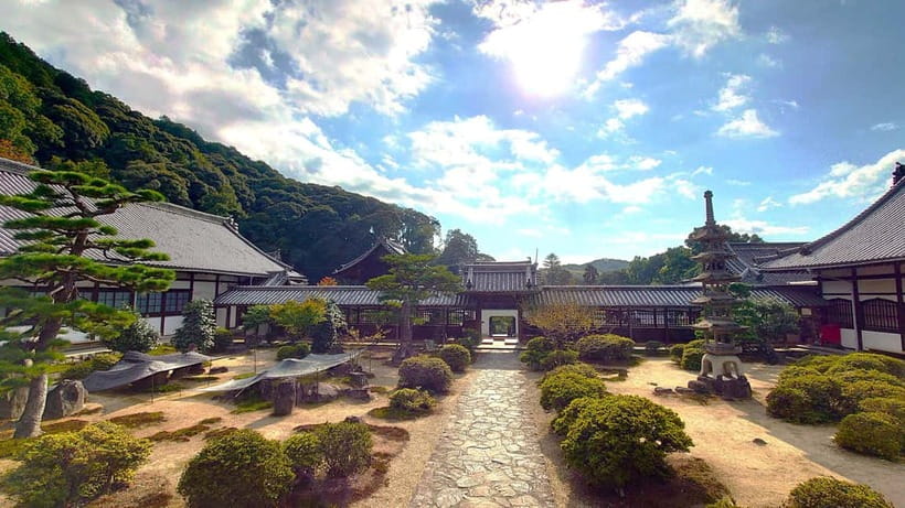 Cycling Tour at Uji's Matcha Green Tea Fields and Heritage - Lunch snacks and the matcha shop focus