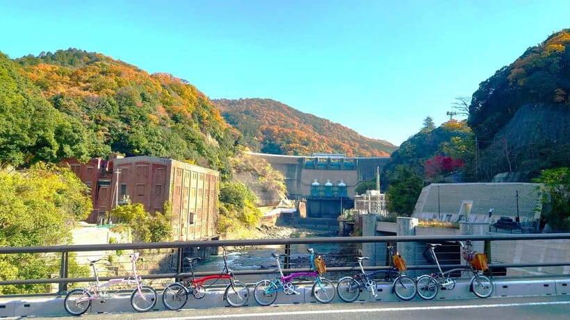 Cycling Tour at Uji's Matcha Green Tea Fields and Heritage - Uji Shrine, Ujigami Shrine, and Uji Kosho-ji Temple