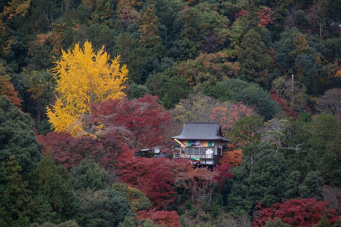Explore Arashiyama Bamboo Forest with Authentic Zen Experience - Key Highlights You’ll Actually Feel