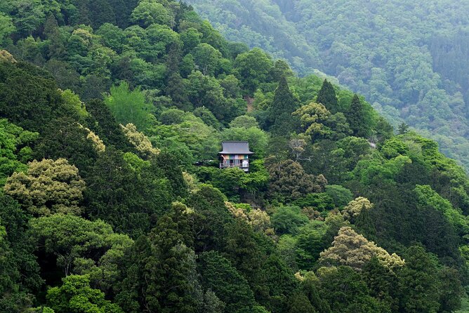 Explore Arashiyama Bamboo Forest with Authentic Zen Experience - Stop 4: Daihikaku Senkoji Zen Mountain Temple Experience