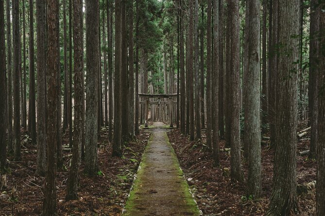 From Bamboo to Hidden Shrines: Kyoto’s Private Escape Tour by Car - Key things you’ll notice right away