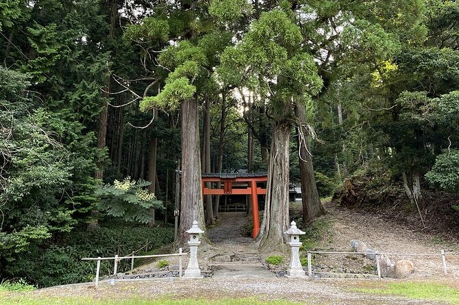 From Bamboo to Hidden Shrines: Kyoto’s Private Escape Tour by Car - How to dress and act so the quiet stops land well