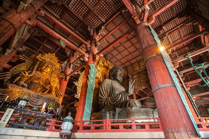 From Kyoto: Nara History Guided Half Day Bus Tour with lunch - Why This Kyoto-to-Nara Half Day Works So Well