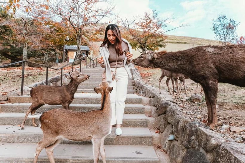 From Kyoto: Nara, Osaka & Kobe Day Trip – 3 Cities in 1 Day - Kobe’s Chinatown and waterfront walk: what two hours really buys
