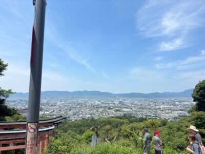 From Osaka/Kyoto: Kyoto, Nara, and Fushimi Inari Day Trip - Arashiyama Bamboo Forest: Quiet Photos, Real Footing