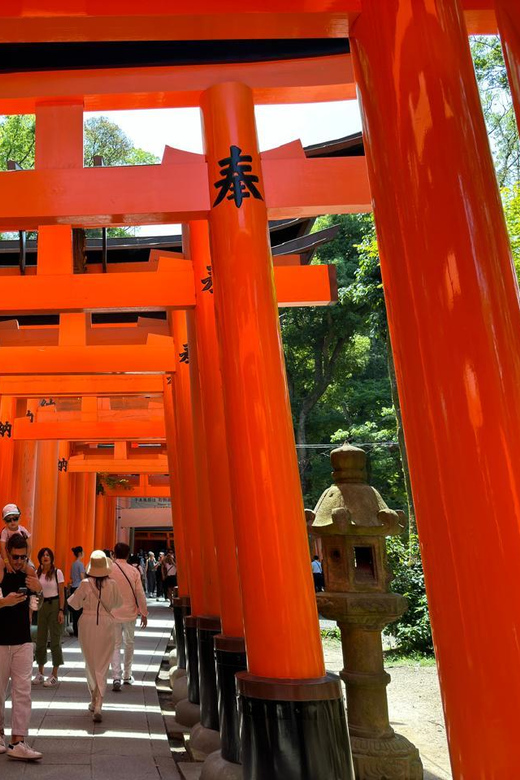 From Osaka/Kyoto: Kyoto, Nara, and Fushimi Inari Day Trip - Who This Day Trip Works Best For