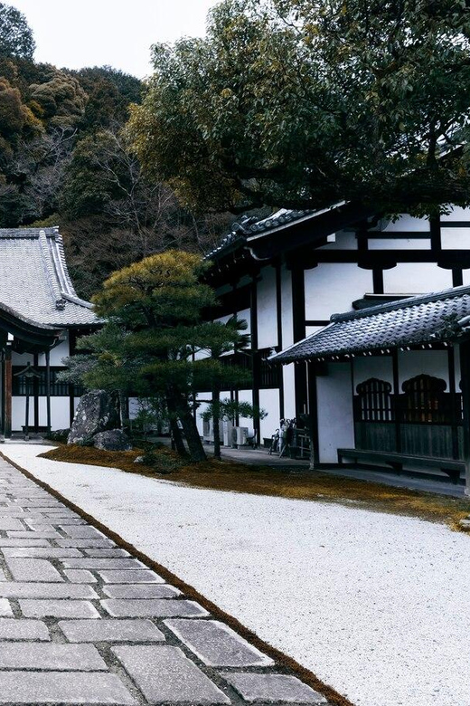 From Osaka/Kyoto: Private Kyoto and Nara Day Trip - Nara Park: sacred deer, real-world manners
