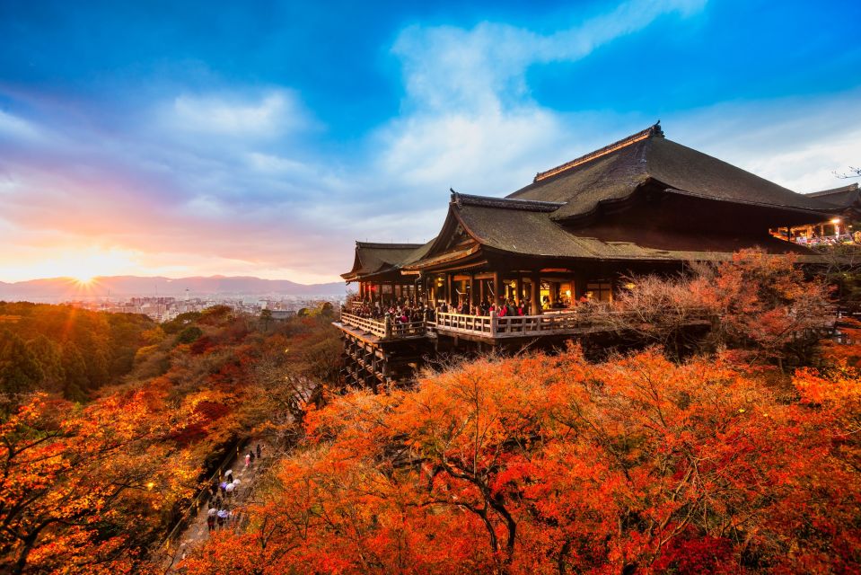 From Osaka: Sagano Train Ride and Kyoto Guided Day Tour - Should you book this Osaka-to-Kyoto day tour?
