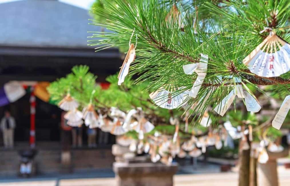FromOsaka/Kyoto:Hiroshima & Miyajima Private Tour with Lunch - Photo stops and timing: how to avoid feeling rushed on a 12-hour day
