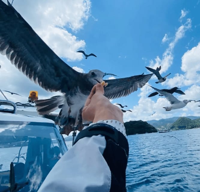 FromOsaka/Kyoto:Hiroshima & Miyajima Private Tour with Lunch - Hotel pickup to Hiroshima: the comfort-factor drive