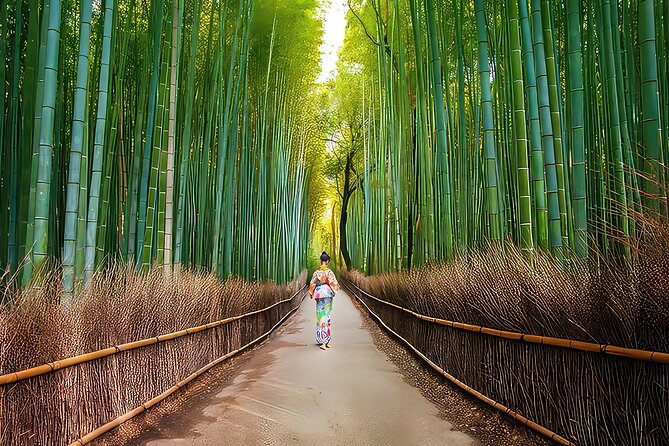 Fushimi Inari - Arashiyama: Torii Gates, Bamboo, Monkeys & Secret - Price and What You’re Actually Getting for $70.55