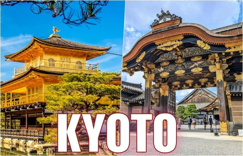 Golden Pavilion, Nijo Castle, & Nishiki Market Half day tour - 6 key points that make this half-day tour work
