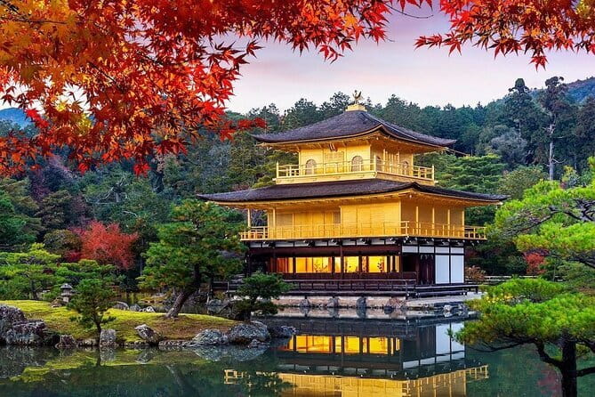 Guided Kyoto City Cherry Blossom One Day Private Tour - Quick hits: what makes this Kyoto day tour tick