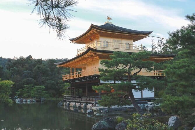 Guided Kyoto City Cherry Blossom One Day Private Tour - Why this one-day private plan works (and what you’re trading away)